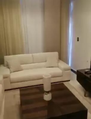 Furnished apartments 220m for rent in The Waterway New Cairo